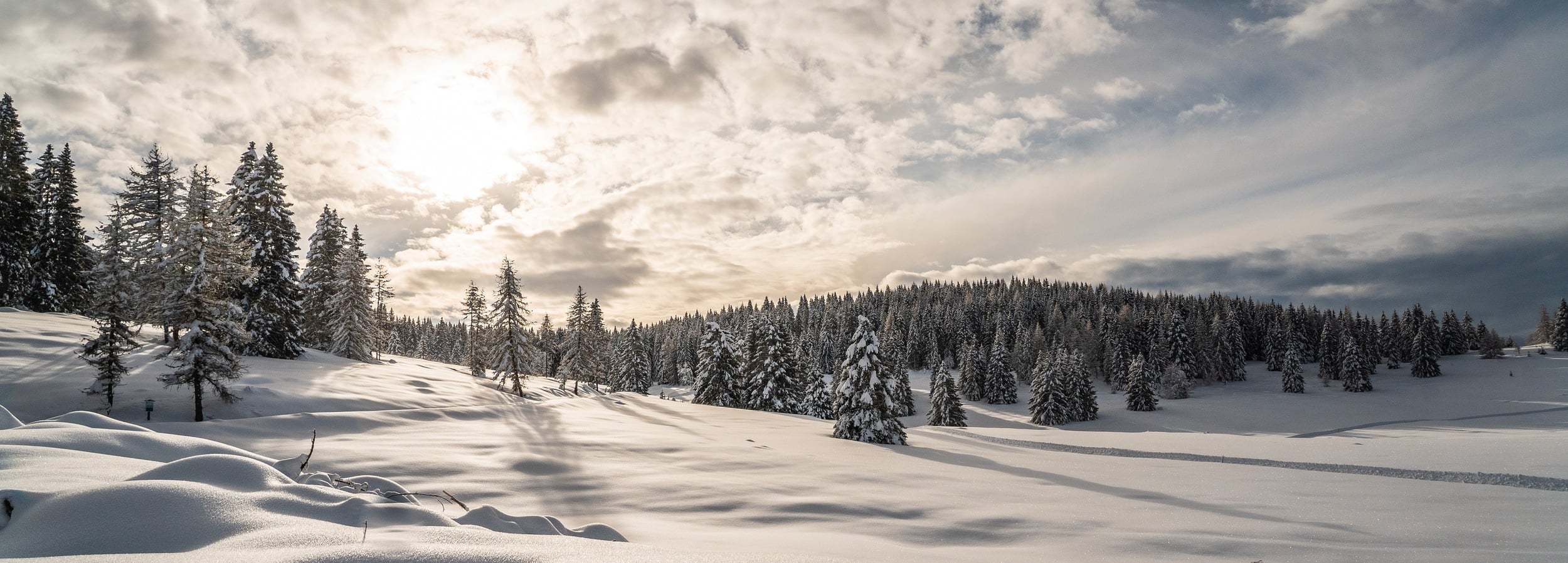 Winter in Alpe Cimbra