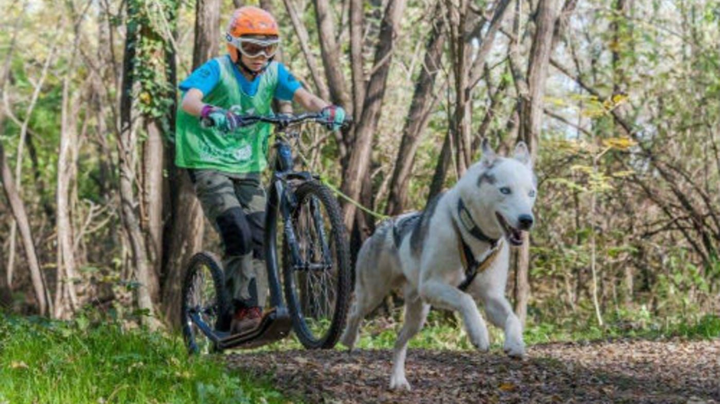 ALPE CIMBRA: CAPITALE DELLO SLEDDOG. Domenica 30 ottobre a Malga Millegrobbe