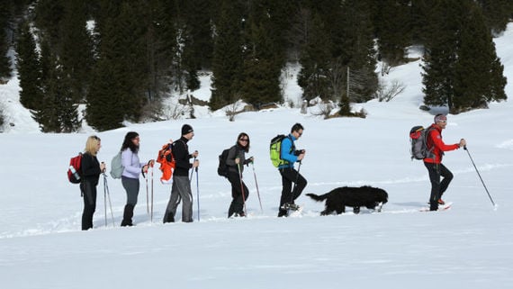 ALPE CIMBRA, NON SOLO SCI