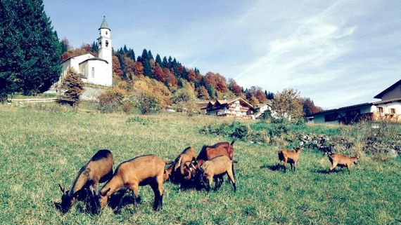 HUER LE GUEZ SLUMA LE GUEZ al Maso Guez di San Sebastiano in Trentino