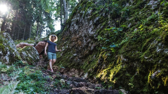 Effetti dei “bagni nelle foreste” sullo stress