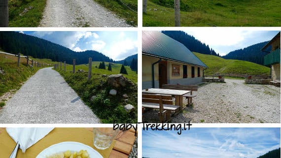 Alpe Cimbra e bambini: a Malga Vallorsara col passeggino by babytrekking.it