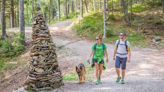 C'è una strada nel bosco...