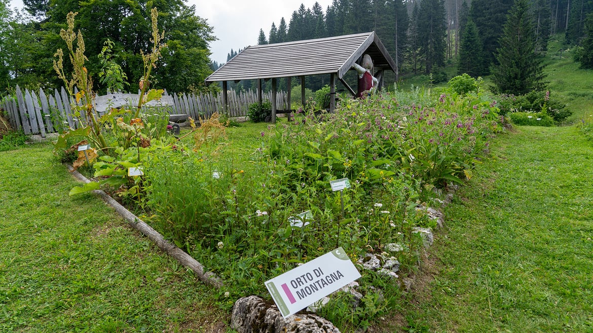 Ogród botaniczny w Passo Coe