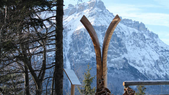 Il respiro degli alberi