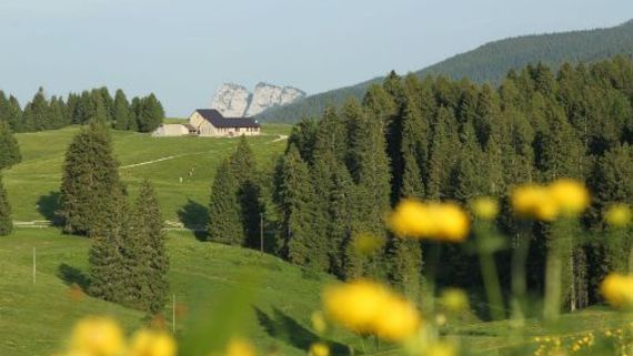 LA MALGA dalle UOVA D'ORO