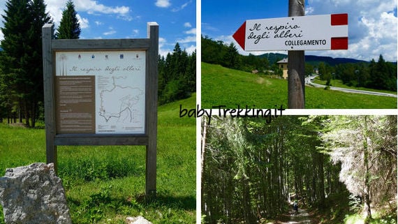 Respiro degli Alberi a Lavarone, col passeggino tra opere d’arte by babytrekking.it