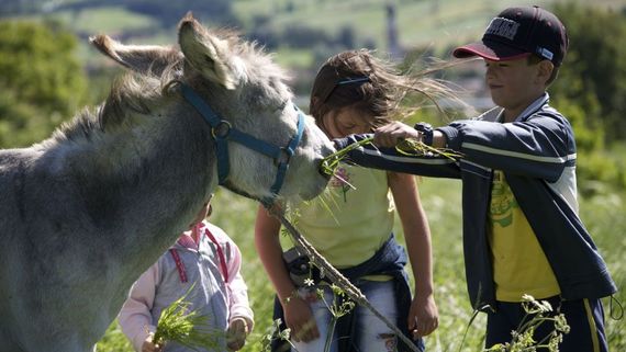 Scoprite i segreti delle nostre fattorie