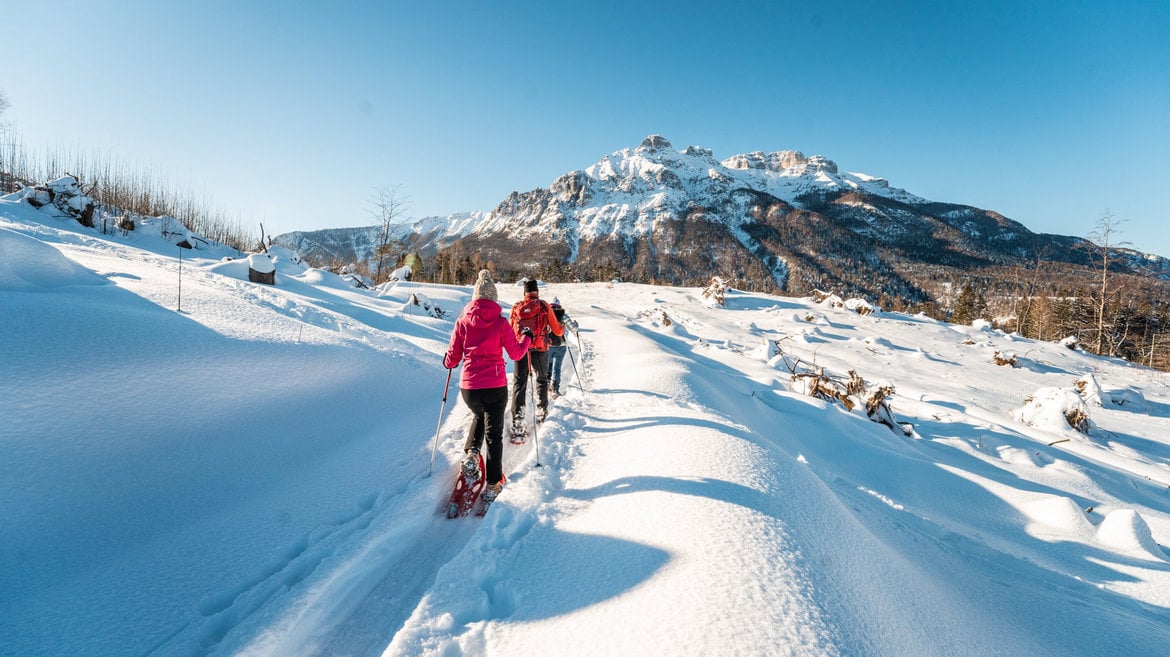 Snowshoeing