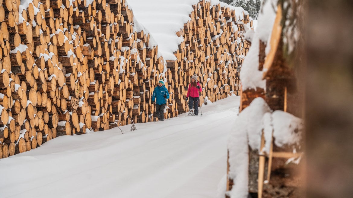 Snowshoeing