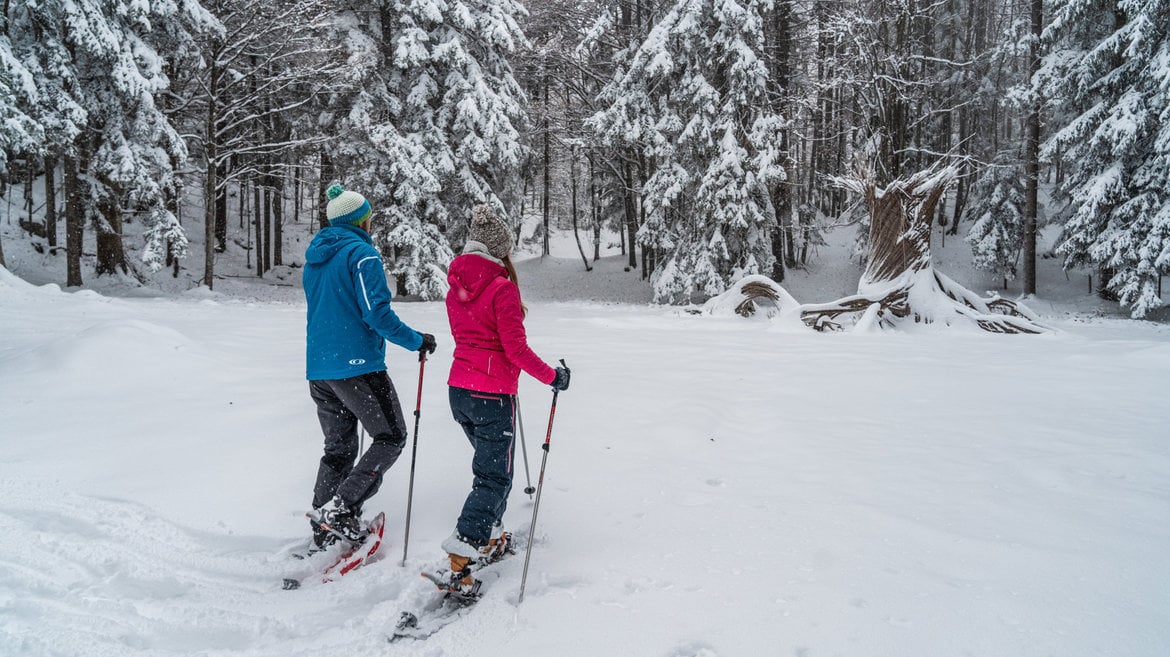 Snowshoeing