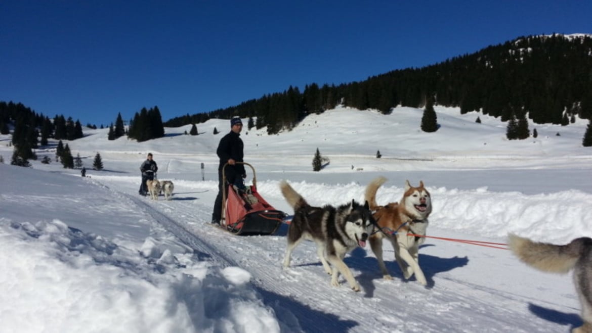 Alpe Cimbra con i bambini: sulla neve tante occasioni per giocare