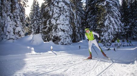 Alpe Cimbra: ve společnosti fat biků a psích spřežení