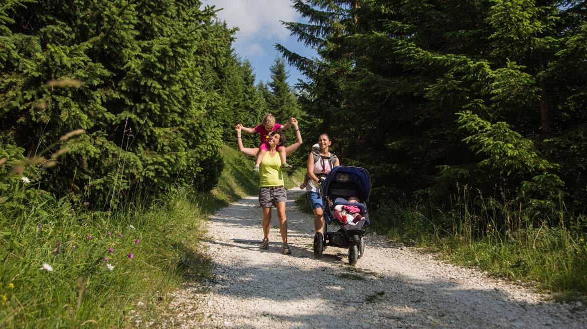 Baby Trekking – suitable for strollers