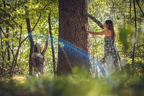 Forest Bathing e Passeggiate per Bambini Botanici - Scuola del