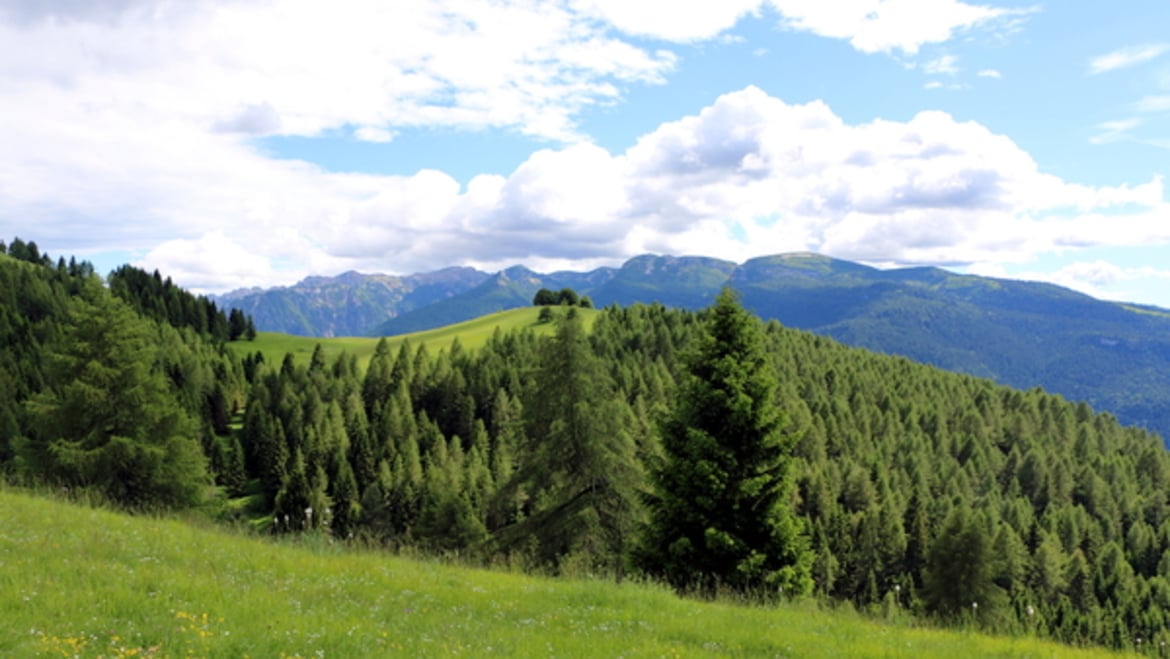 Alpe Cimbra, l'estate, il paesaggio e la bike by girovagandointrentino