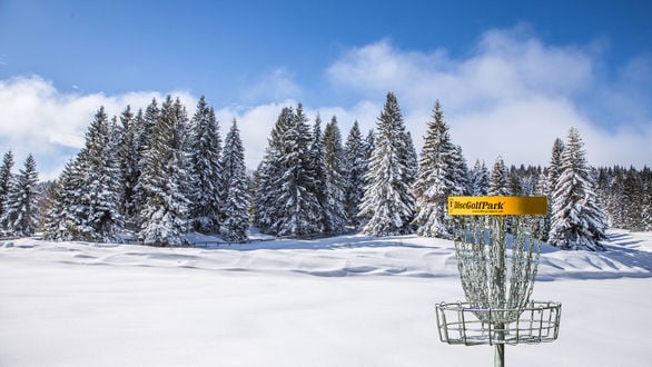 Winter Disc Golf