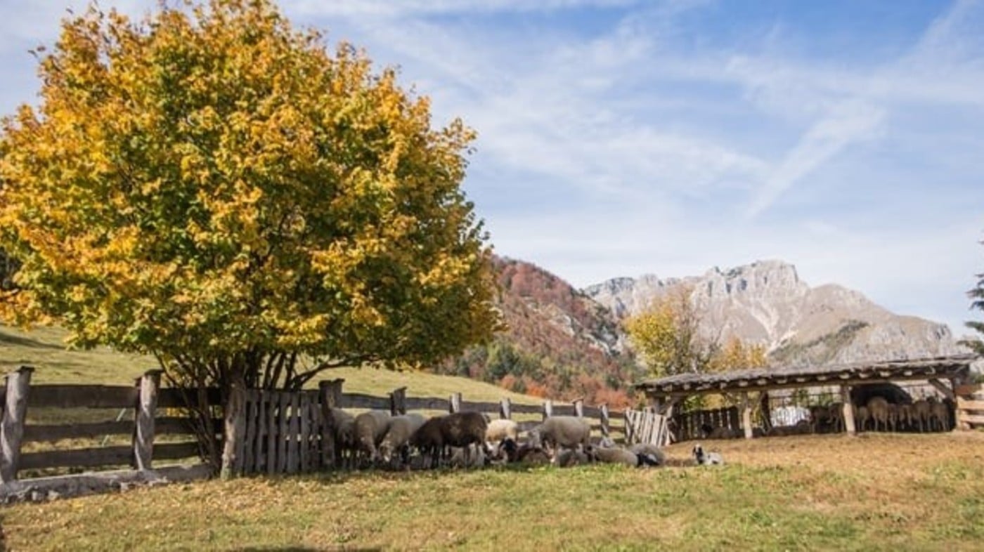 Autunno, Foliage, Indian Summer… sull’Alpe Cimbra è tempo di weekend d’autunno