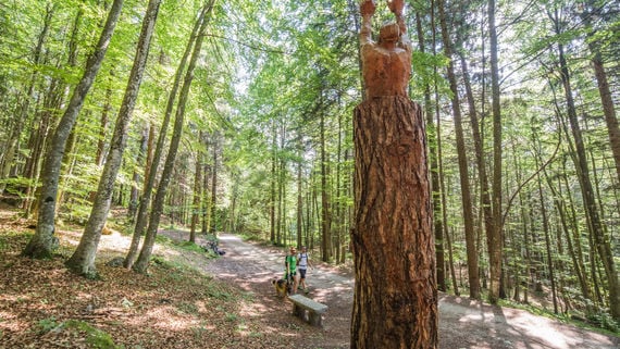 Il Respiro degli Alberi / Das Atmen der Bäume