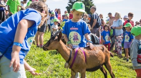 Ritorna il travolgente FESTIVAL DEL GIOCO