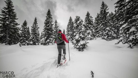 Alpe Cimbra, bella da non crederci