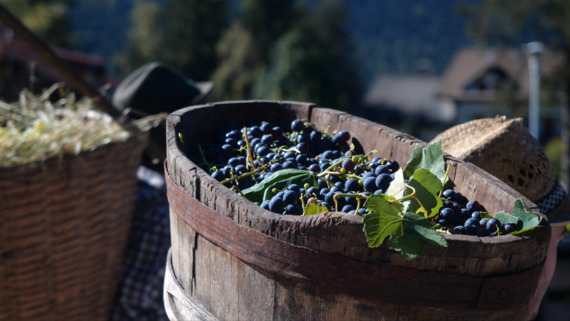 I Vinaròi de Mezmont