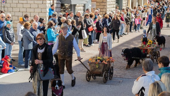 Grabber - il gruppo amatoriale Bovaro del Bernese