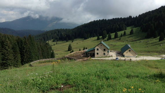 TRA LE MALGHE E SUA MAESTÀ, LA NATURA by trentino itinerari