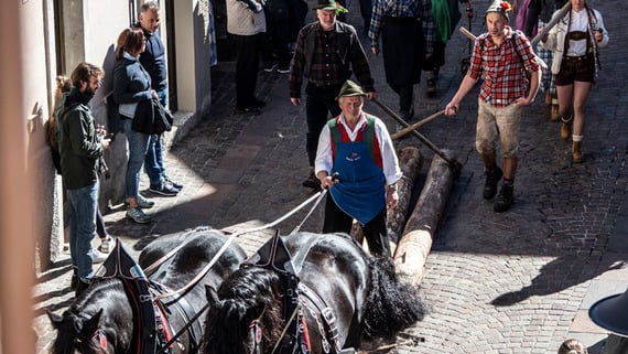 I Boscaroi del’Altopiam