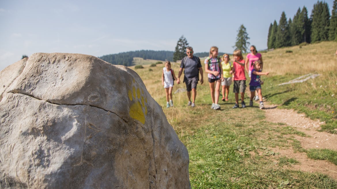 Wöchentliches Programm mit Outdoor-Aktivitäten