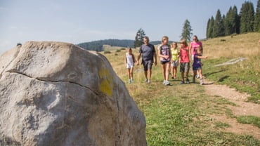 Wöchentliches Programm mit Outdoor-Aktivitäten