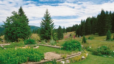 Orto Botanico di Passo Coe