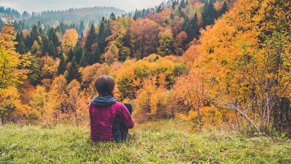 La magia dei colori che "infiammano" l'Alpe