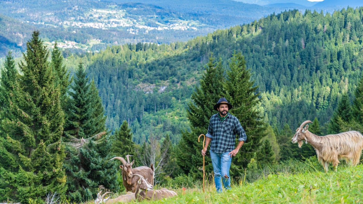 A Maso Guez in Alpe Cimbra: bimbi felici con il trekking con le caprette