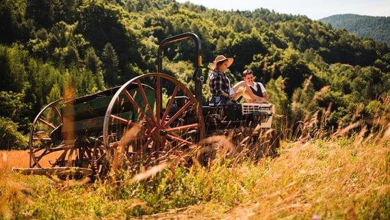 Agricoltura di montagna