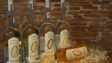 Distilleria Bailoni