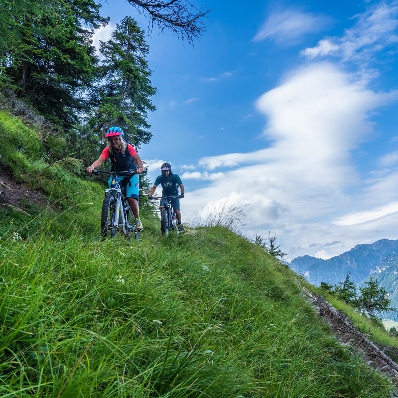 In cima sulla sella