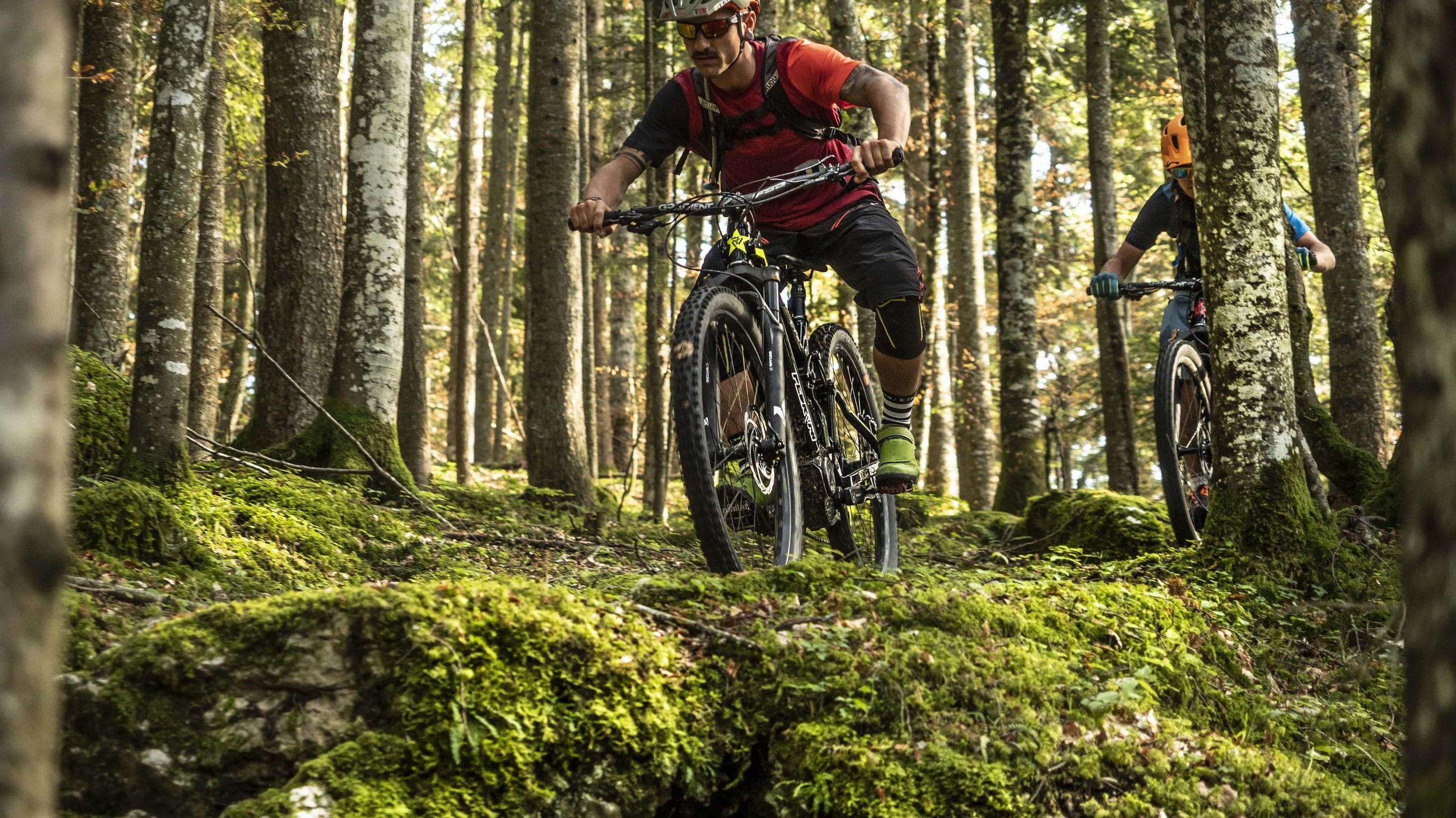 Sport in Mountain bike