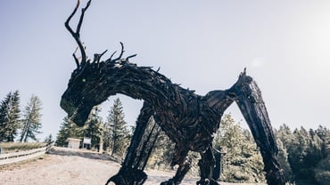 The largest Dragon made with woods in Europe