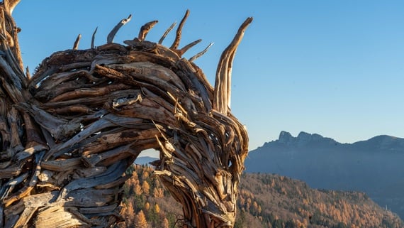 The largest Dragon made with woods in Europe