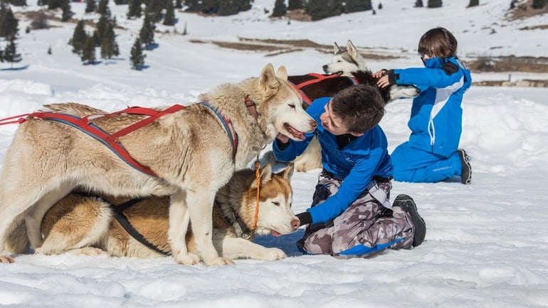 Settimana bianca in Trentino con bambini