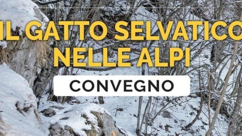 Convegno: "Il gatto selvatico nelle Alpi”