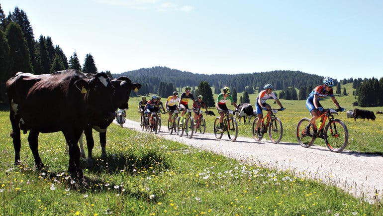 100 giorni alla 100 km dei forti. Sull’Alpe Cimbra si pedala all’infinito