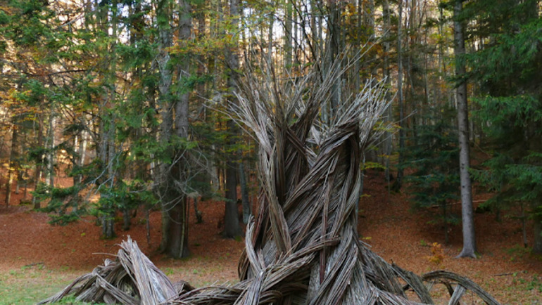 Escursione Ad Anello Respiro Degli Alberi - Monte Cimone - Drago Di Vaia - Lavarone