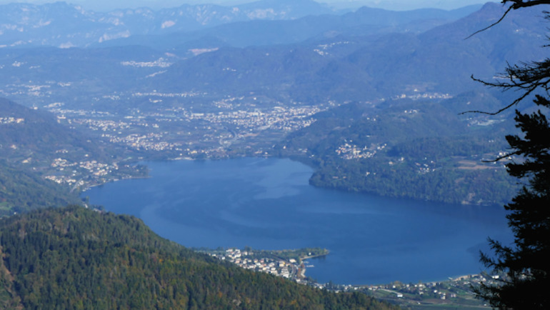 Escursione Ad Anello Respiro Degli Alberi - Monte Cimone - Drago Di Vaia - Lavarone