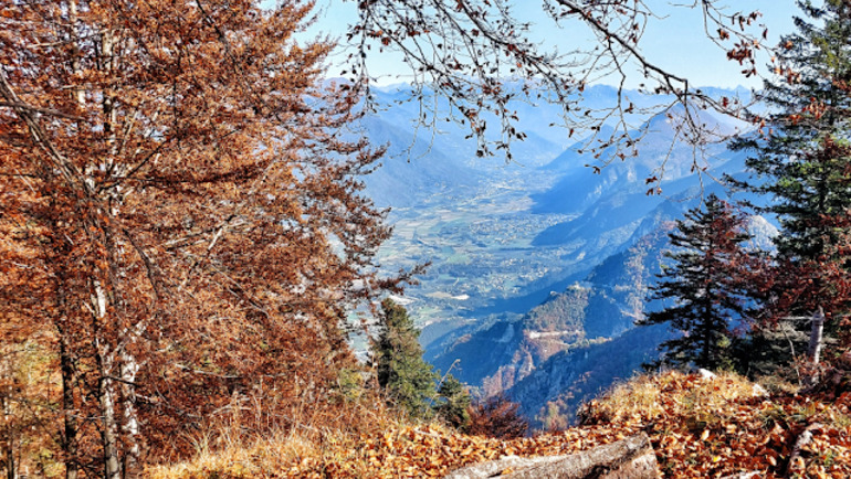 Escursione Ad Anello Respiro Degli Alberi - Monte Cimone - Drago Di Vaia - Lavarone