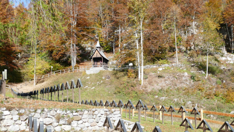 Escursione Ad Anello Respiro Degli Alberi - Monte Cimone - Drago Di Vaia - Lavarone