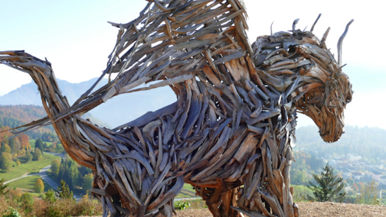 Escursione Ad Anello Respiro Degli Alberi - Monte Cimone - Drago Di Vaia - Lavarone