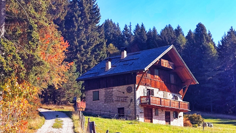 Il "sentiero dei faggi" e il "Salt Dela Volp" da Folgaria