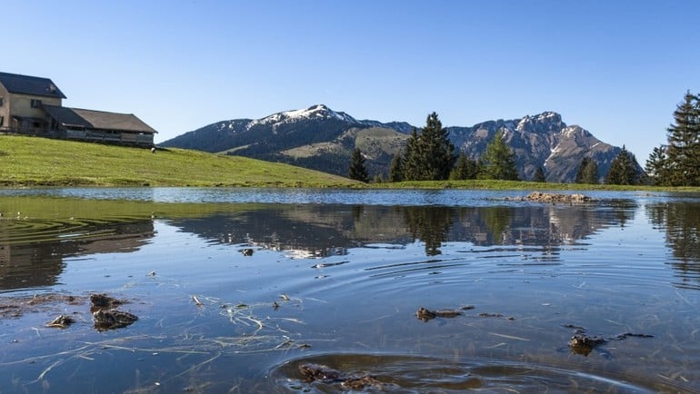 Per ripartire sull’Alpe Cimbra si parla di green e di esperienze